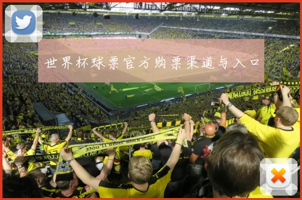 世界杯球票官方购票渠道与入口