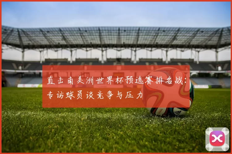 直击南美洲世界杯预选赛排名战:专访球员谈竞争与压力