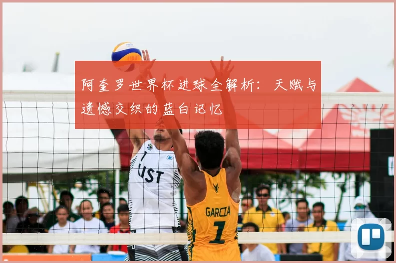 阿奎罗世界杯进球全解析:天赋与遗憾交织的蓝白记忆