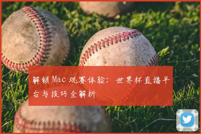 解锁 Mac 观赛体验：世界杯直播平台与技巧全解析