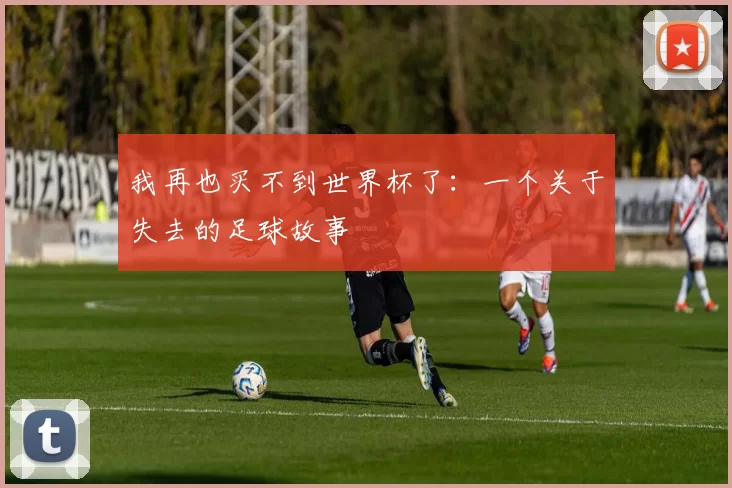 我再也买不到世界杯了:一个关于失去的足球故事