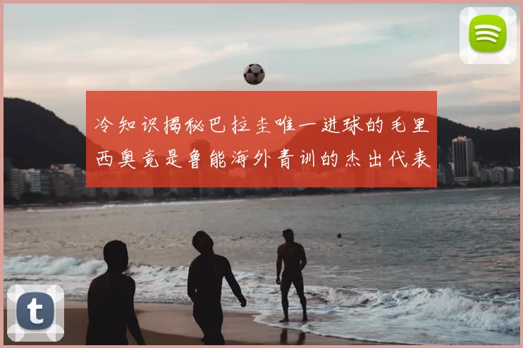 冷知识揭秘巴拉圭唯一进球的毛里西奥竟是鲁能海外青训的杰出代表