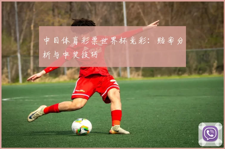 中目体育彩票世界杯竞彩：赔率分析与中奖技巧