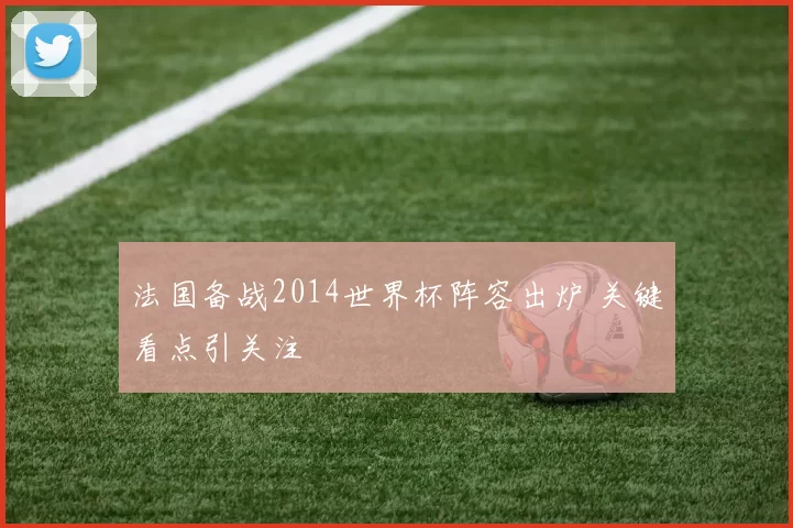 法国备战2014世界杯阵容出炉 关键看点引关注